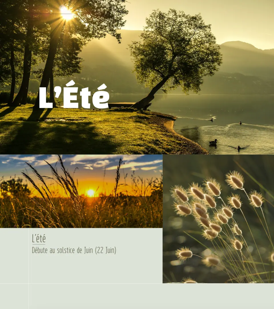 Les Saisons - écran