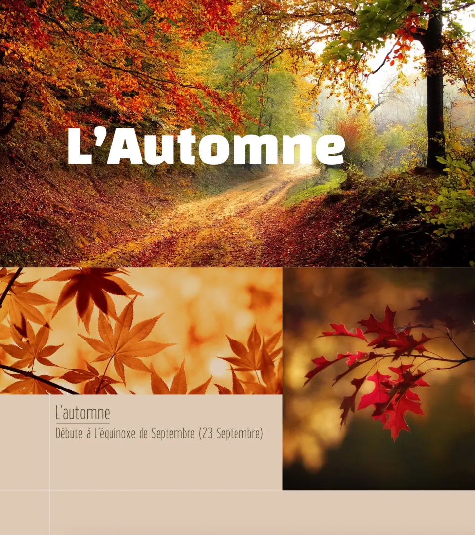 Les Saisons - Landing Page 3