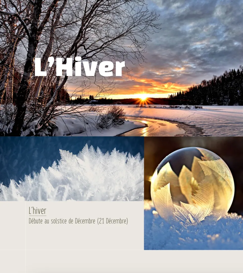 Les Saisons - Landing Page 4