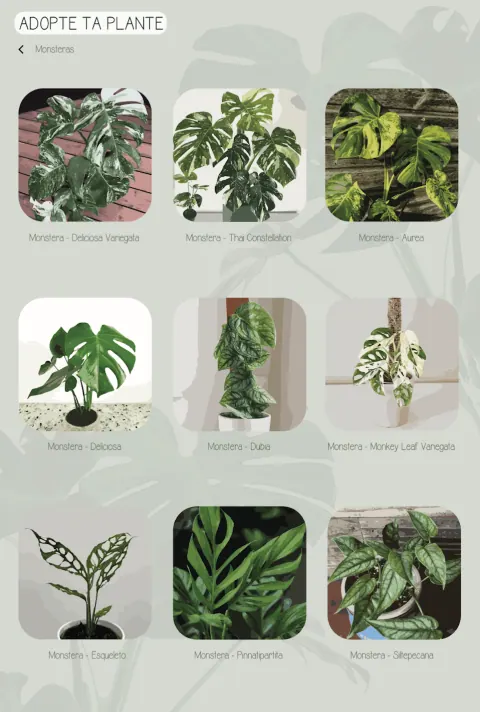Adopte ta plante - écran
